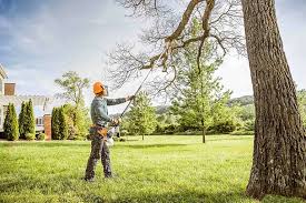 Best Tree Health Inspection  in Gang Mills, NY