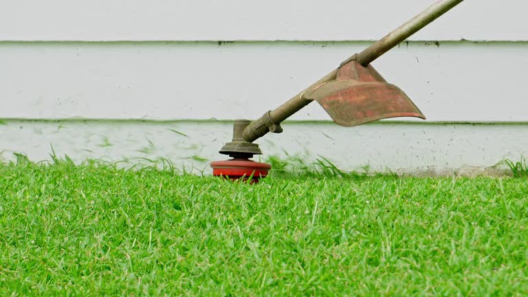 Best Soil Testing and Treatment  in Gang Mills, NY