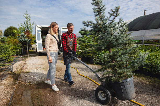 Reliable Gang Mills, NY Tree Services Solutions